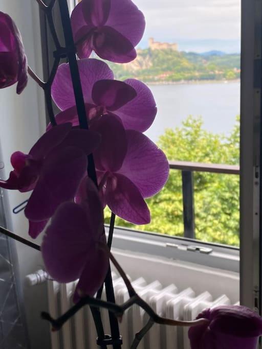 Babalu Con Vista Lago Arona Eksteriør bilde